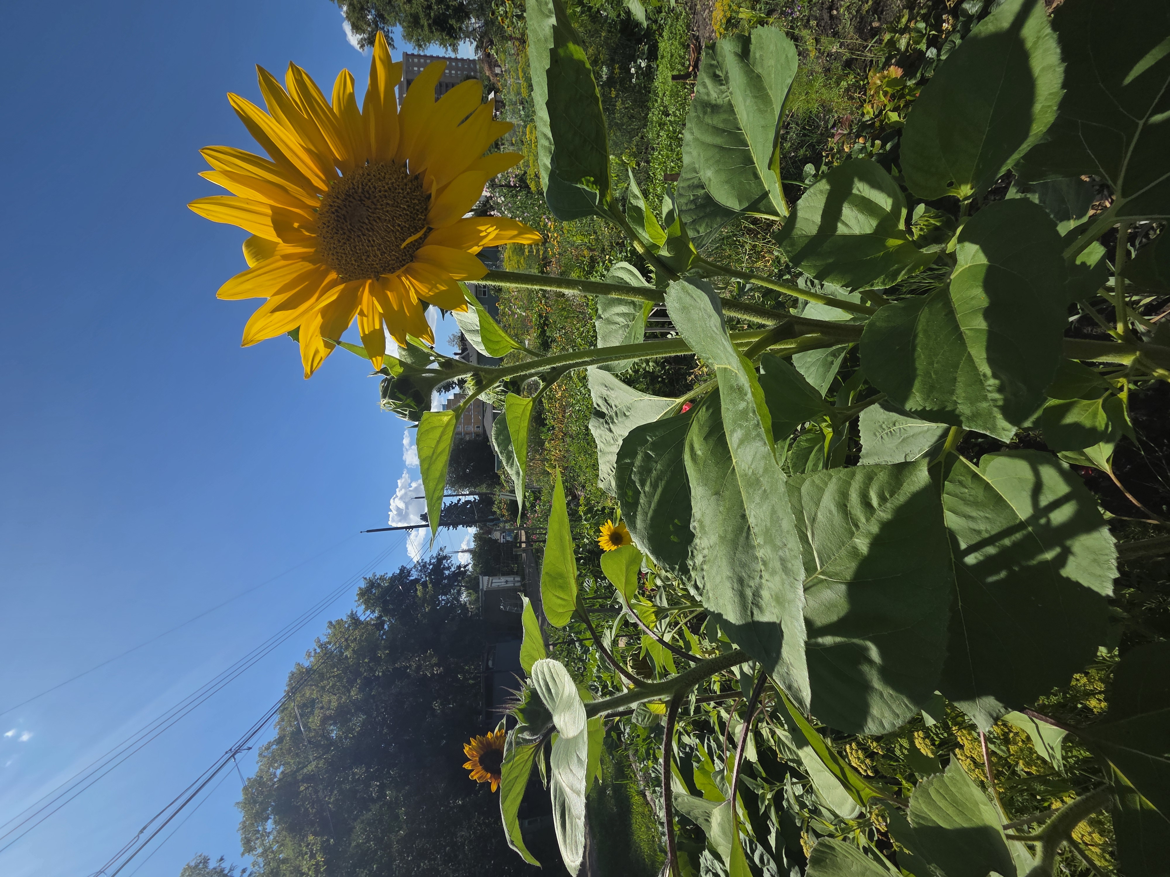 Erika L's profile image