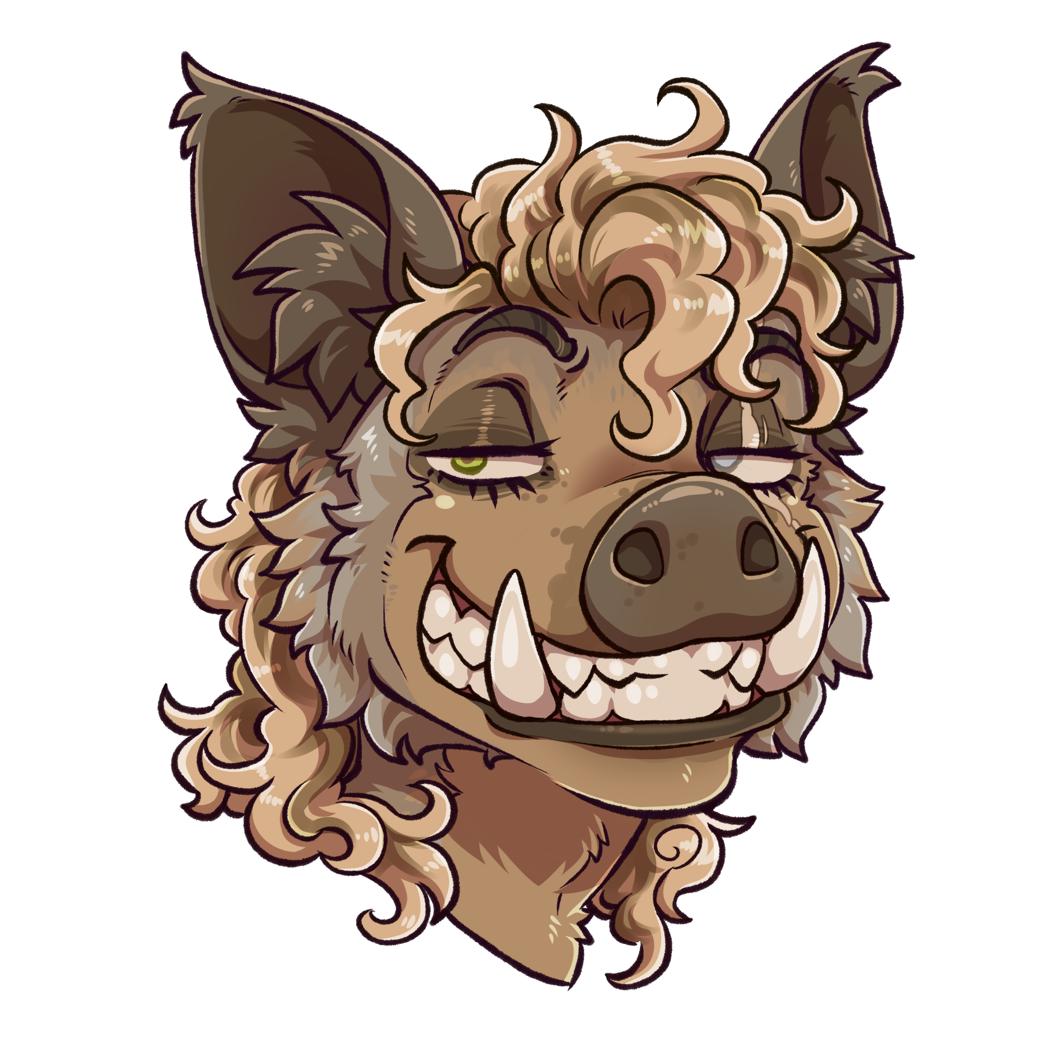 Zachary Schroeder's profile image