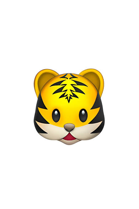 Diane Nhan's profile image